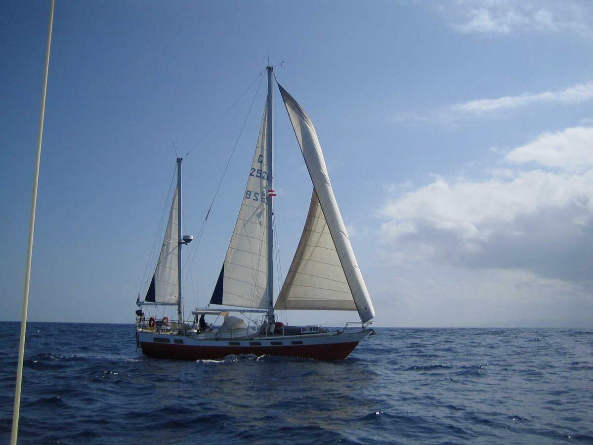 1983 Wauquiez Amphitrite