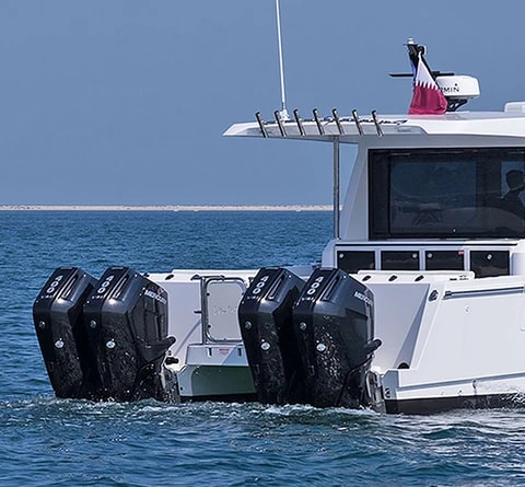 SilverCat 46CX