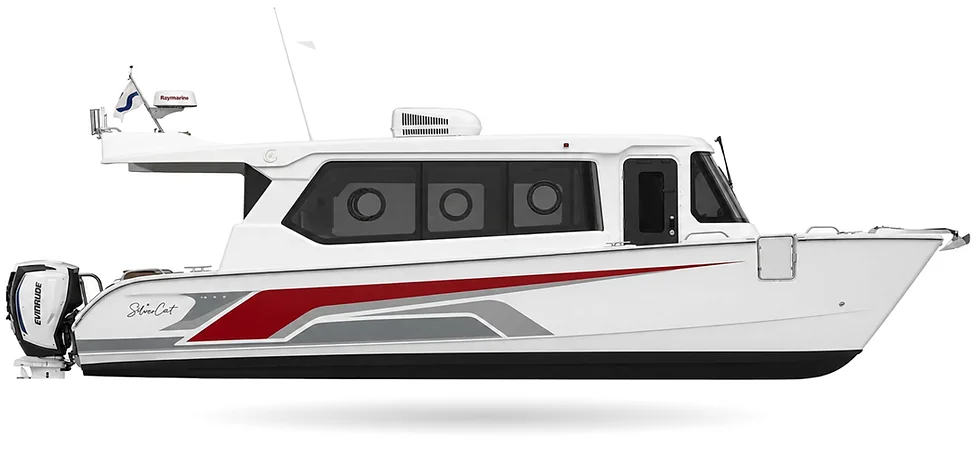 SilverCat 40LUX