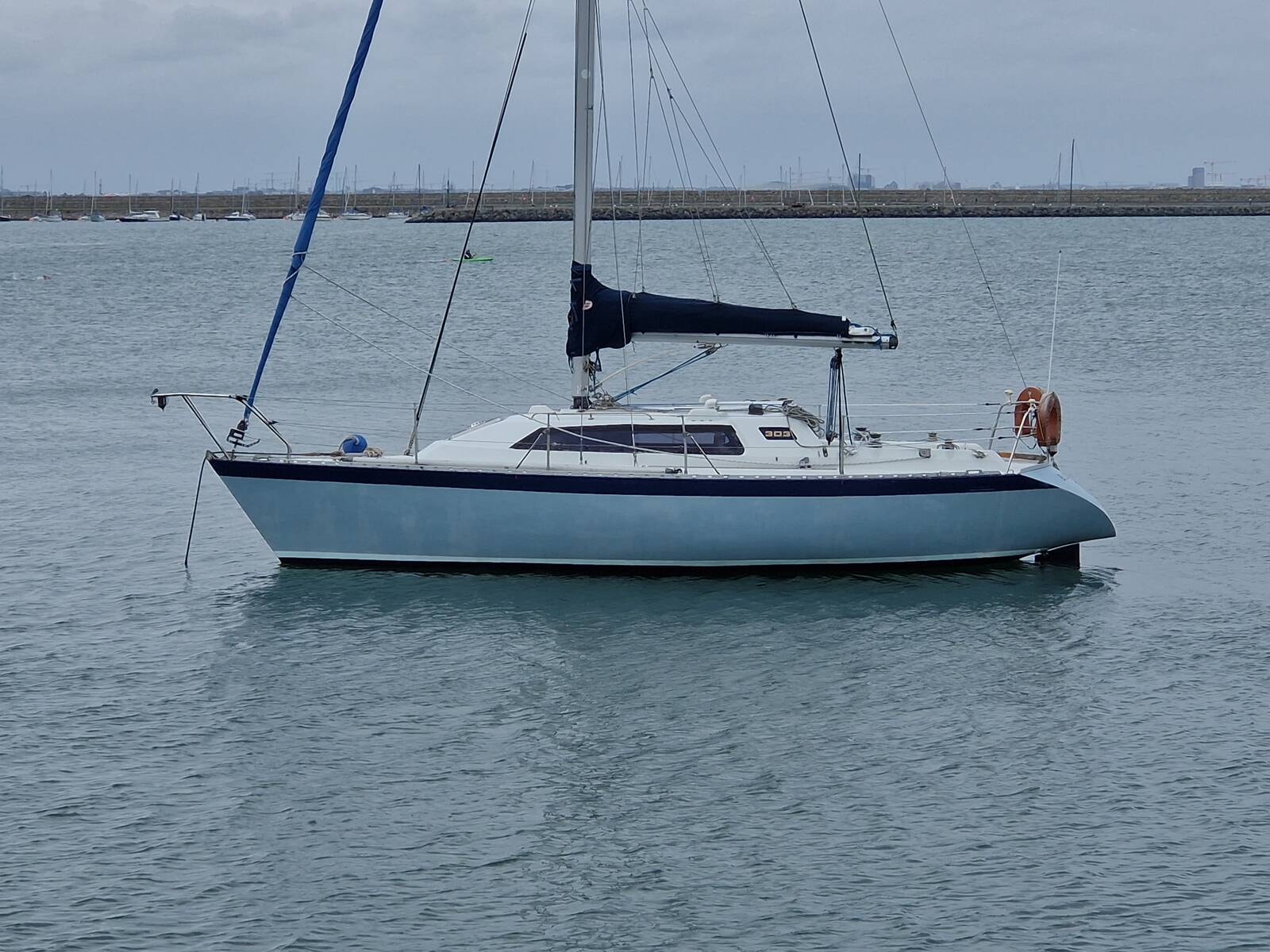 1979 Nicholson 303